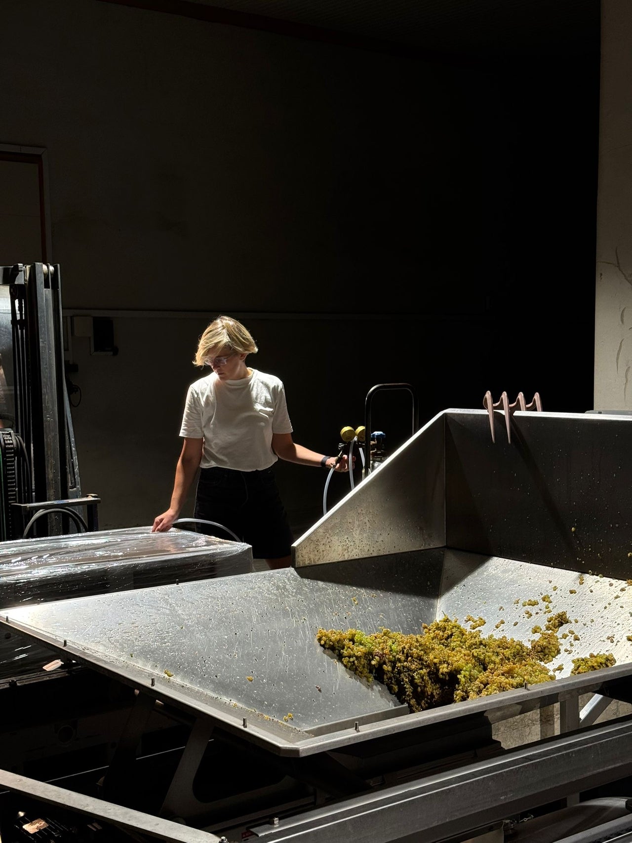 February 28, 2026, Wine tasting with Jule, Kai & Malte from the Schätzel 3000 winery